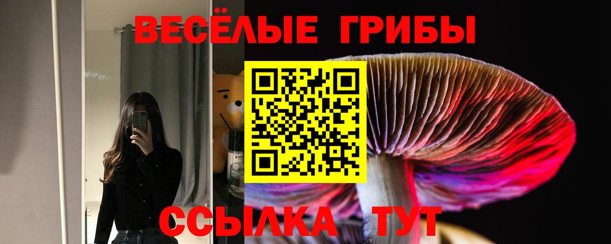 Галлюциногенные грибы мухоморы  Вход с VPN  Елец  Псилоцибиновые грибы GOLDEN TEACHER 